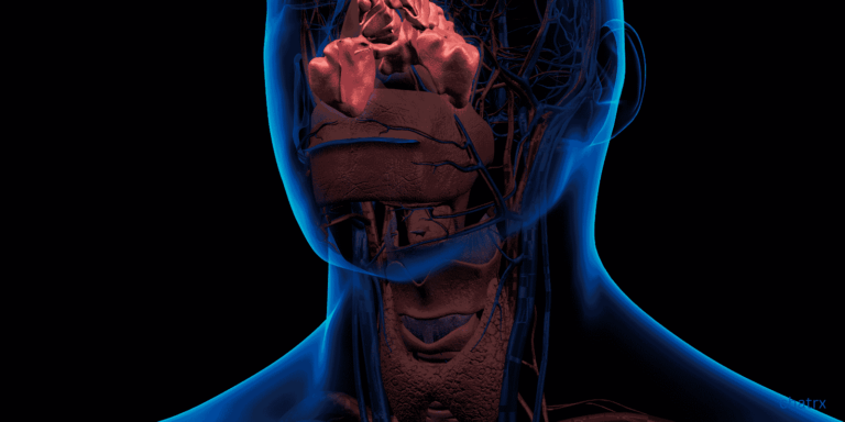 Chronic Sinusitis vs. Acute Sinusitis: Symptom Differences