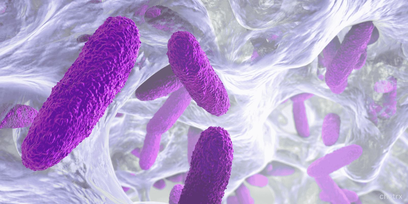 Common Causes of UTIs