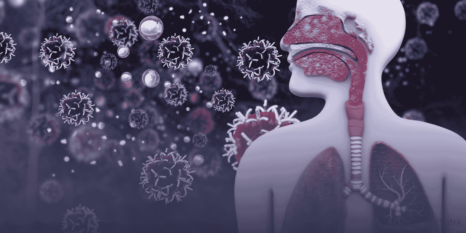 Upper Respiratory Infections