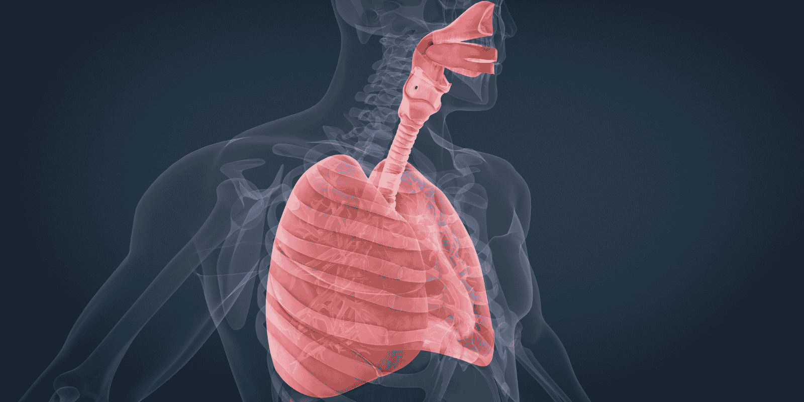 Upper Respiratory Infection