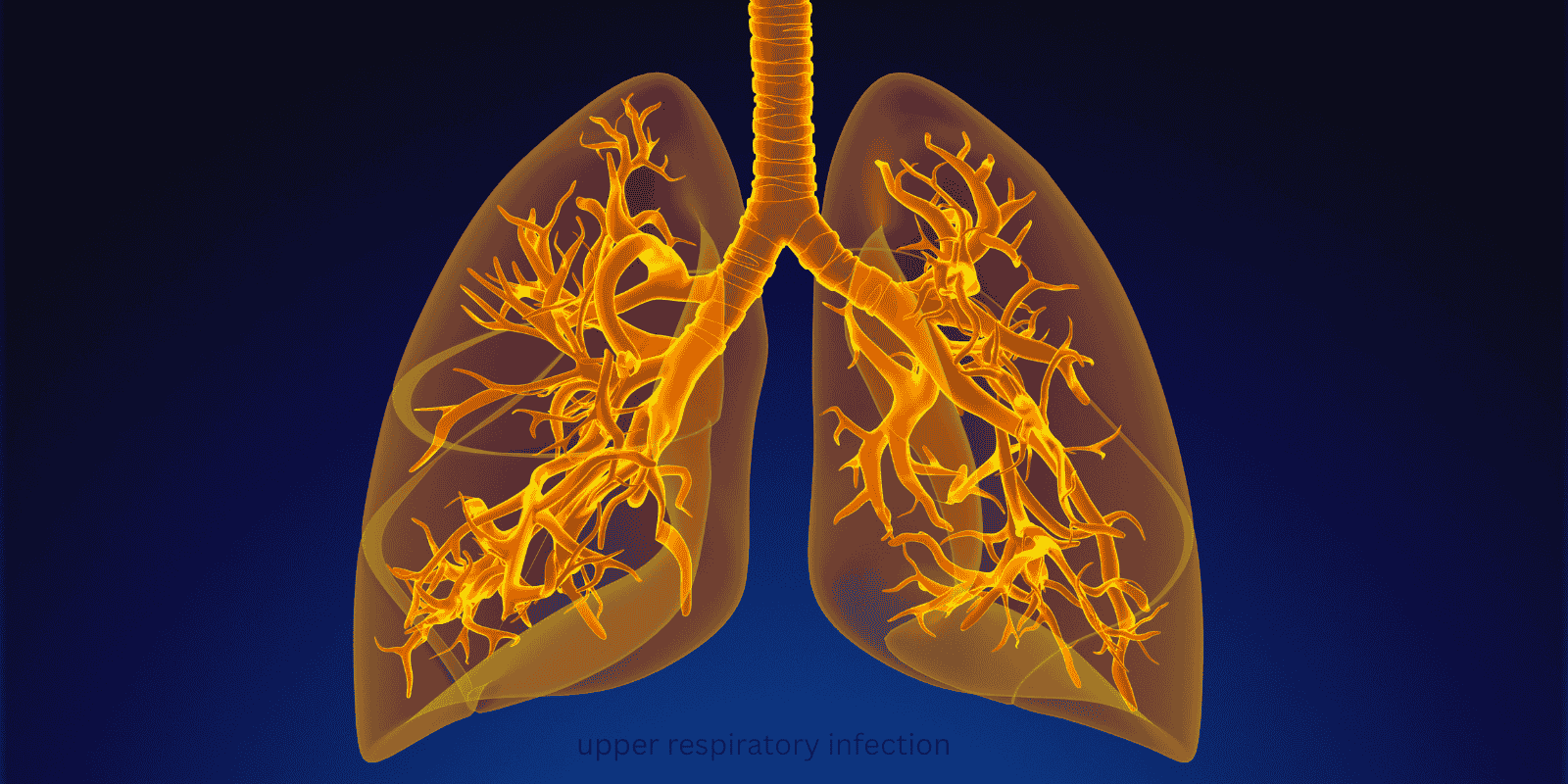 upper respiratory infection