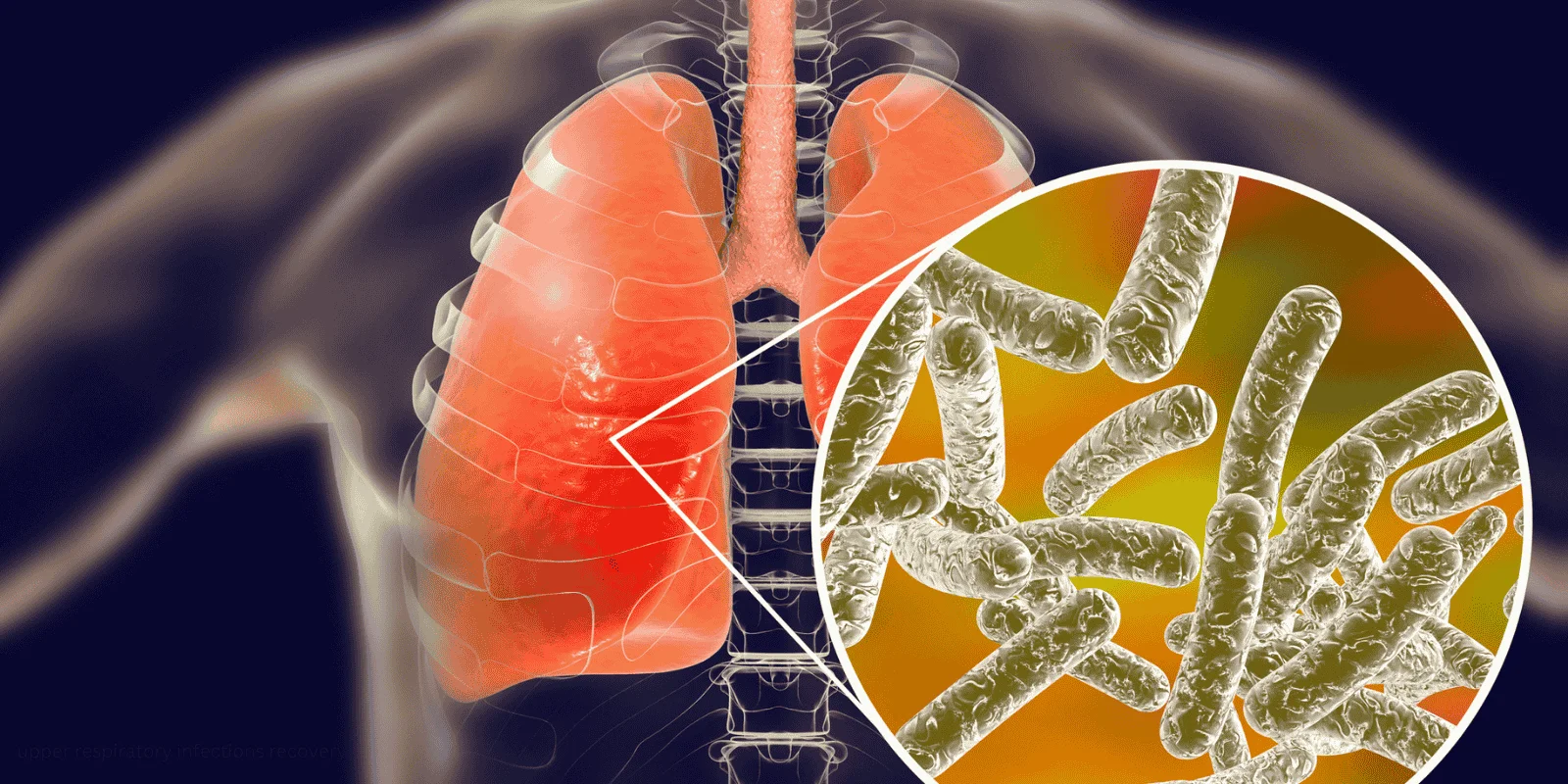 upper respiratory infections recovery