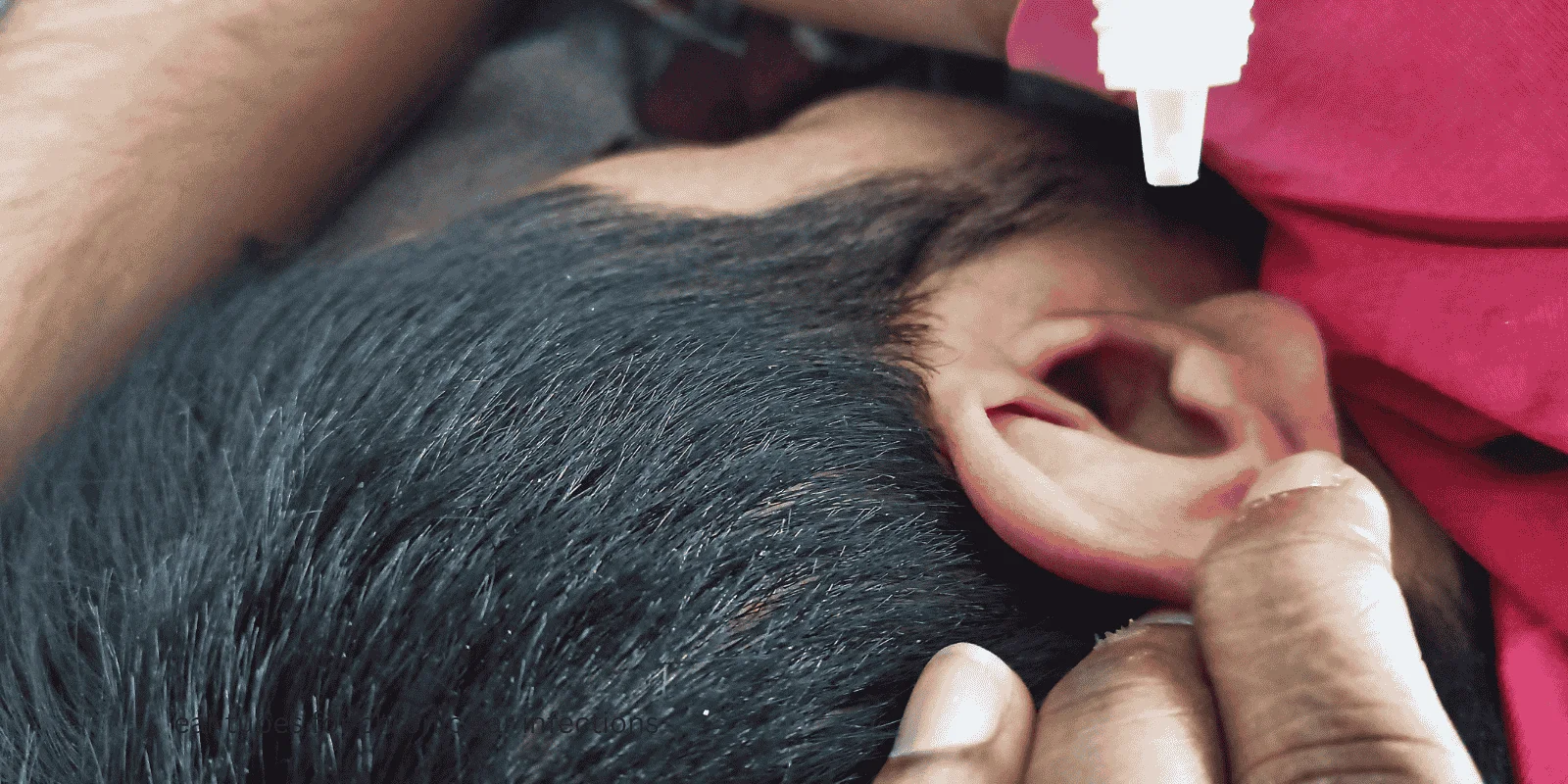ear tubes for chronic ear infections