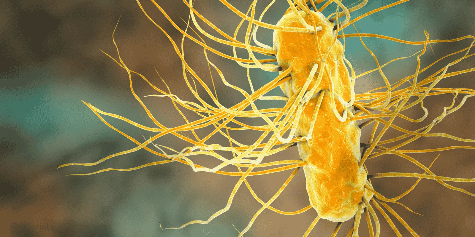 Bacterial vaginosis telemedicine